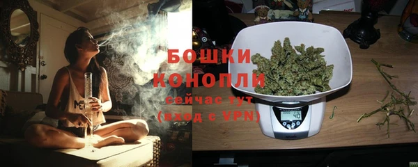 твердый Гусев