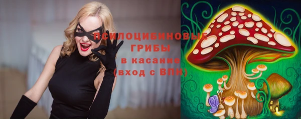твердый Гусев