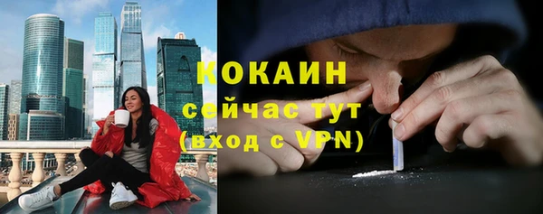 2c-b Горно-Алтайск