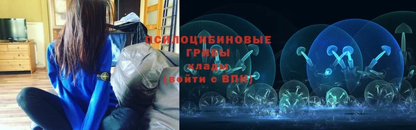 твердый Гусев