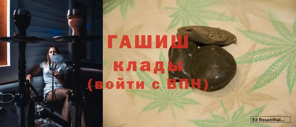 твердый Гусев