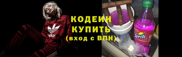 твердый Гусев