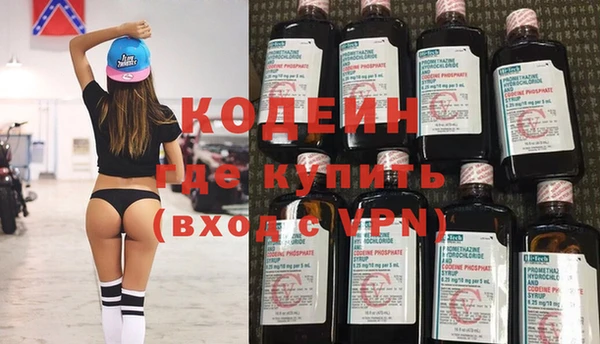 шишки Гусь-Хрустальный