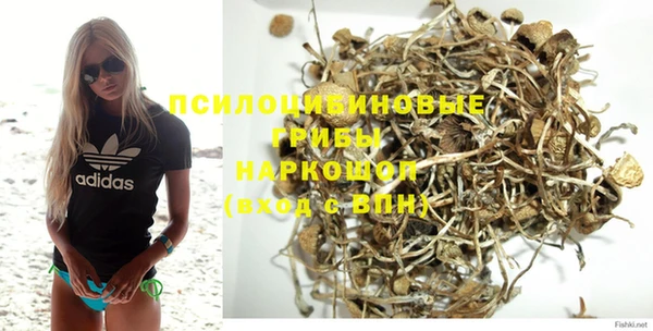 apvp Горняк