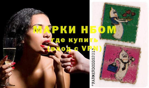 apvp Горняк