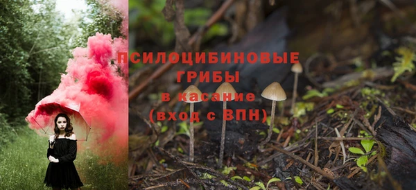 2c-b Горно-Алтайск