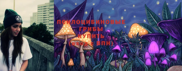 шишки Гусь-Хрустальный