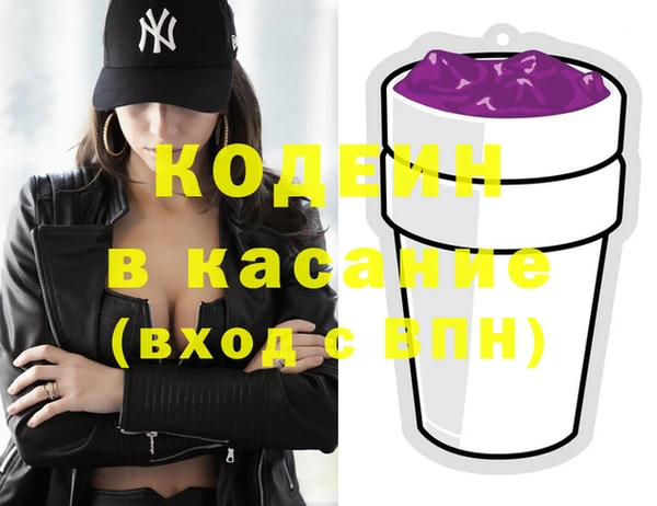 твердый Гусев