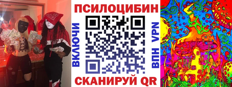 сколько стоит  Пустошка  Галлюциногенные грибы Psilocybine cubensis 